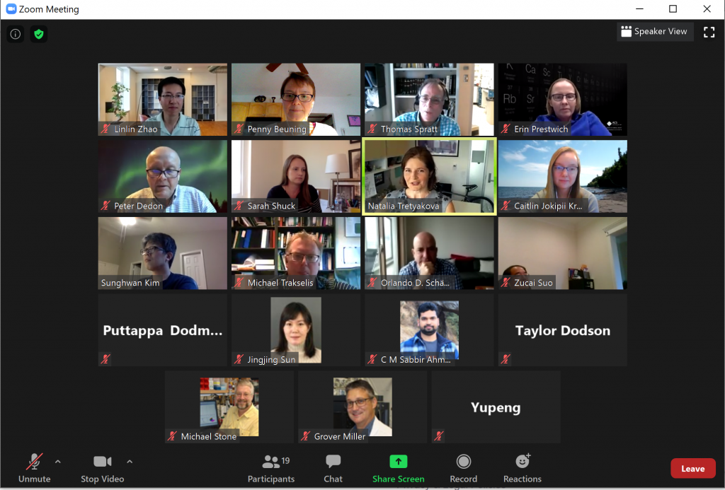 Screenshot of final zoom networking event